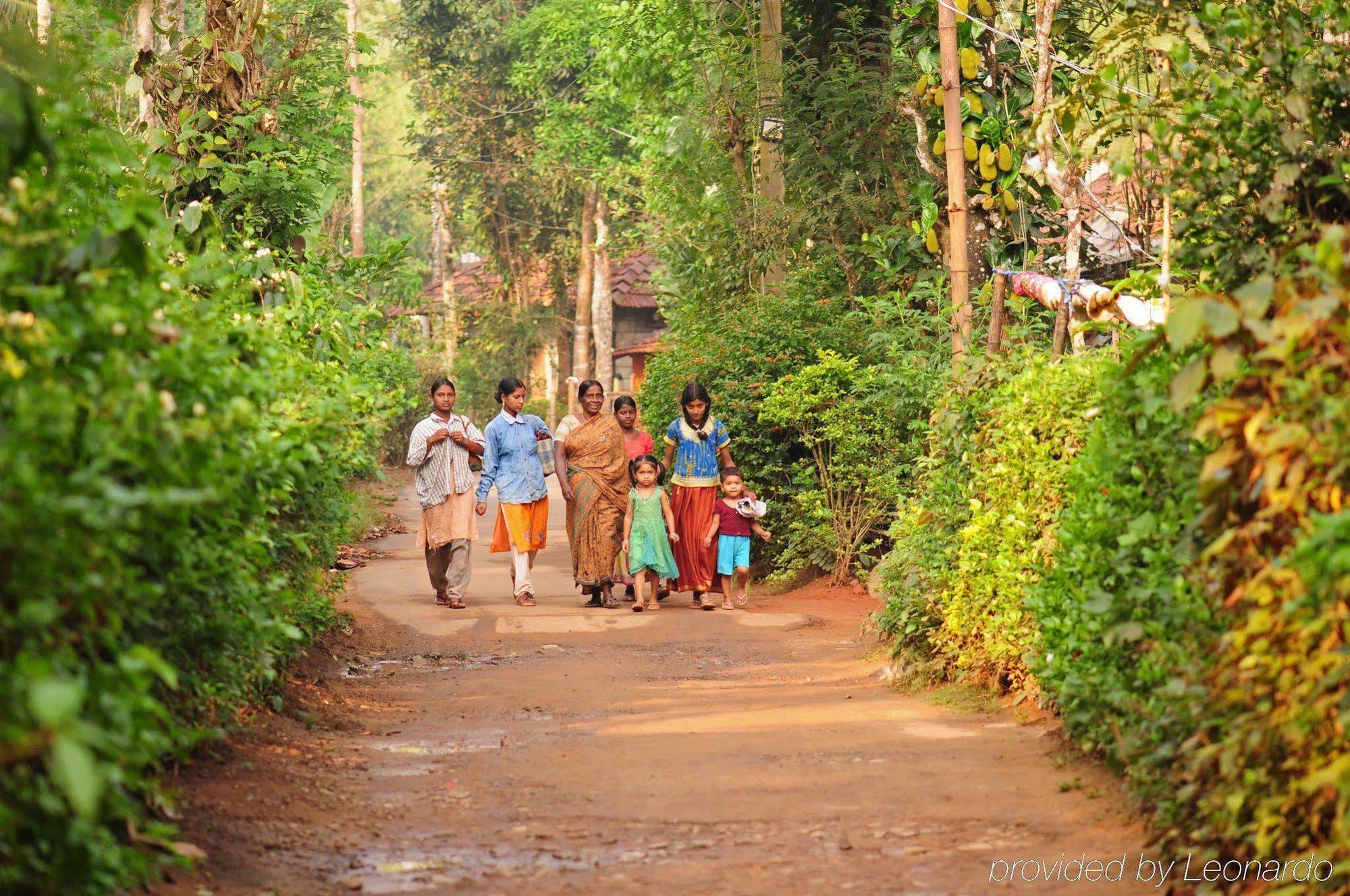 Evolve Back Coorg Hassan Facilities photo